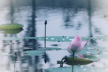 7CBFF759-51CC-4775-8028-276B48E33A92/L0/001