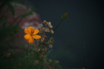 EC434635-6FED-4F86-B2EE-48DCDA12A5B3/L0/001