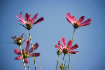 7ADFA76C-3C43-4E76-A7FA-55C02CA8AC49/L0/001