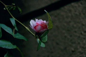 41B35C58-F088-4A2C-B02E-220313A1B91D/L0/001