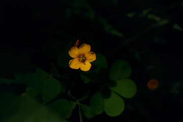 B082FB11-0CA3-4B90-9116-CFC9058DBA9F/L0/001