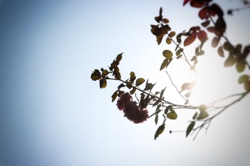 4F40B012-C4FC-4C0A-997D-B5EDBE363E5A/L0/001