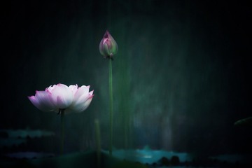 B3704A35-6CA9-4832-A030-0E9DBBD80478/L0/001