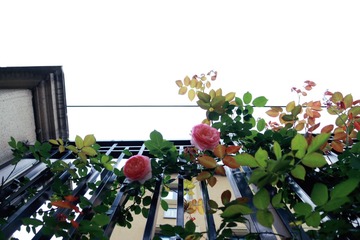 3F2F0C9B-DCF0-43DA-B003-8FE72BC1200E/L0/001