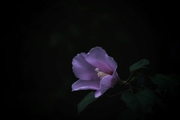 61DF30BB-DA92-44FF-AE9B-6D6350D8344A/L0/001