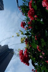 93734061-D357-4C80-A06F-2A4125BFD87A/L0/001