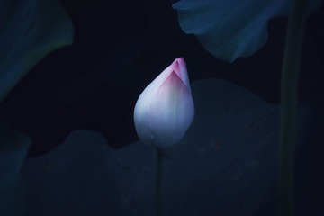 B2775BA6-4F8E-4965-82B5-1C051147BC84/L0/001
