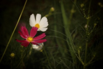 09FF7625-8C0F-41C4-AC62-D1F315100B85/L0/001