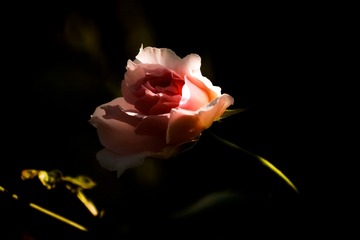 845D6A7A-CBB3-4998-BD7A-F517293935A0/L0/001