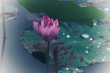 CC8DF497-02E3-485D-9E58-19B3AC3DA500/L0/001