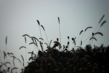5C2B4E91-F6A8-43DE-966F-8C5C0333A30F/L0/001