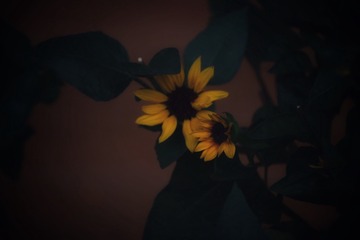 7A591589-1247-46D9-AAF1-F1FB700B8725/L0/001