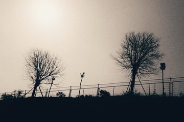 7A49A345-29ED-42F0-BB02-CCA9C9728928/L0/001