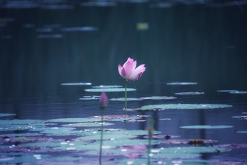 09861997-CBE2-4E36-9DD6-ABDA81B664A8/L0/001