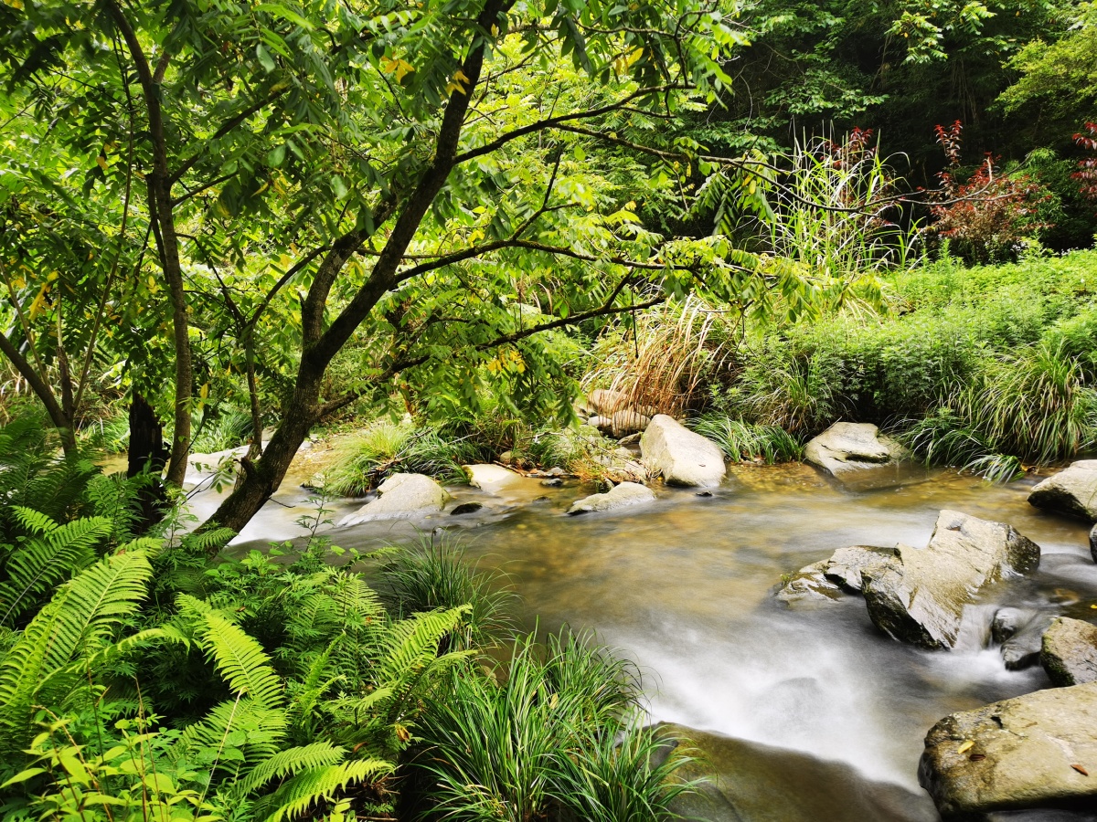 桃花溪景区又名"翁水沟",位于陕西省安康平利县古仙湖边上,真正的一处