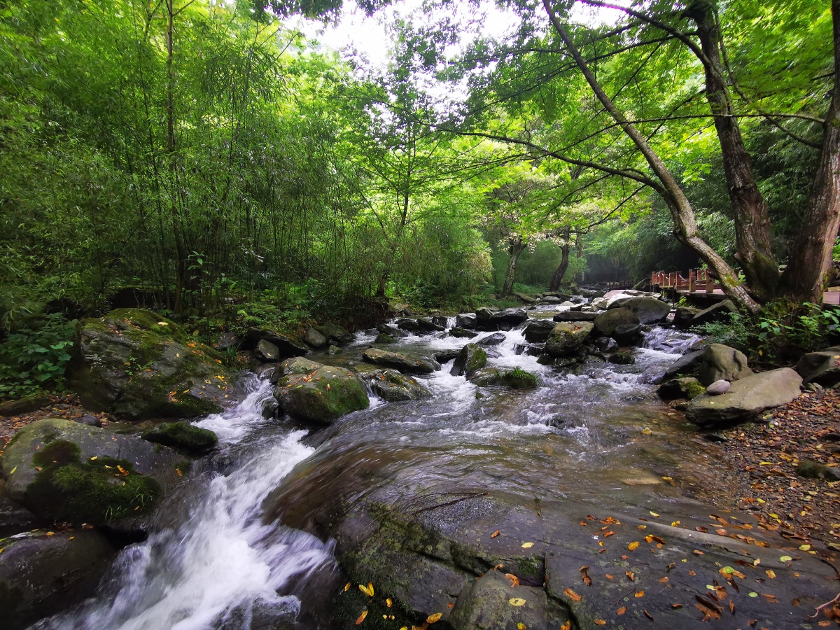 桃花溪景区又名"翁水沟",位于陕西省安康平利县古仙湖边上,真正的一处