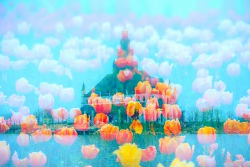 梦幻花海