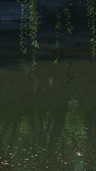 1000012309