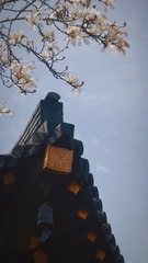 1000008132