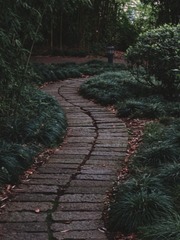 1000029980