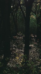 1000011965
