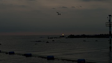 DE98A856-1365-4FA3-9033-5E86289B164A/L0/001