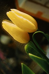 C04E0969-3ABE-42CB-9A41-1AB26A684604/L0/001