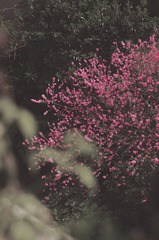 C2D86384-D110-428D-B2CC-2B2B4BDB45FD/L0/001