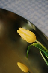 7F74C0BB-00D9-48EF-B5D2-A25D5EC5EE67/L0/001