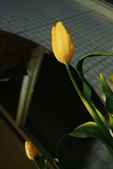 AA796817-9005-4311-81BD-EC337AAF2818/L0/001