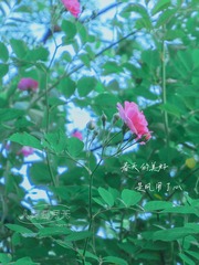 7392D296-0DB5-43BB-8713-1D2427978DE7/L0/001