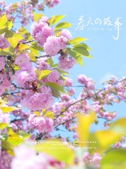 D57EC3DB-7BC0-4733-AE70-86DB258843B1/L0/001