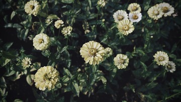 87FA6085-A43D-474D-A44A-EDFF9D825DF4/L0/001