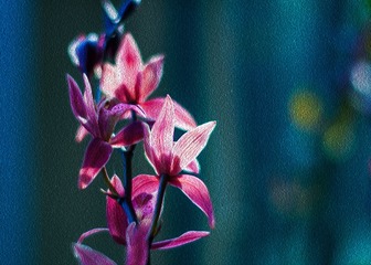 66F0FC7A-03AF-4F23-AF83-8248FBD027FA/L0/001