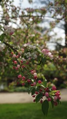 DSC04668-1