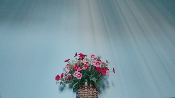 4C0B9E63-9D32-462A-9A15-81C76CE6DC2A/L0/001