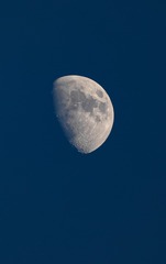 0311836B-858F-4388-8F2E-127988DAE4A3/L0/001