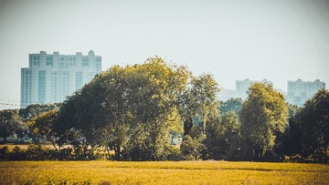 EA1BD259-5834-454C-B3C0-0089B1666B45/L0/001
