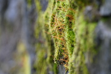 _DSC9919