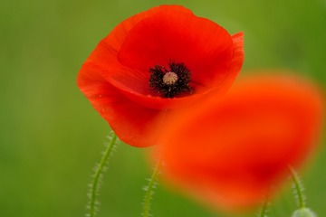 _DSC9992