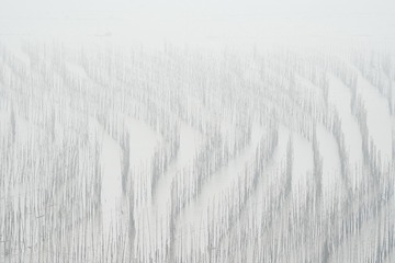 _LJX8562
