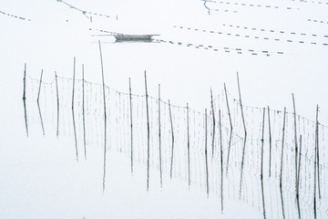 _LJX1956