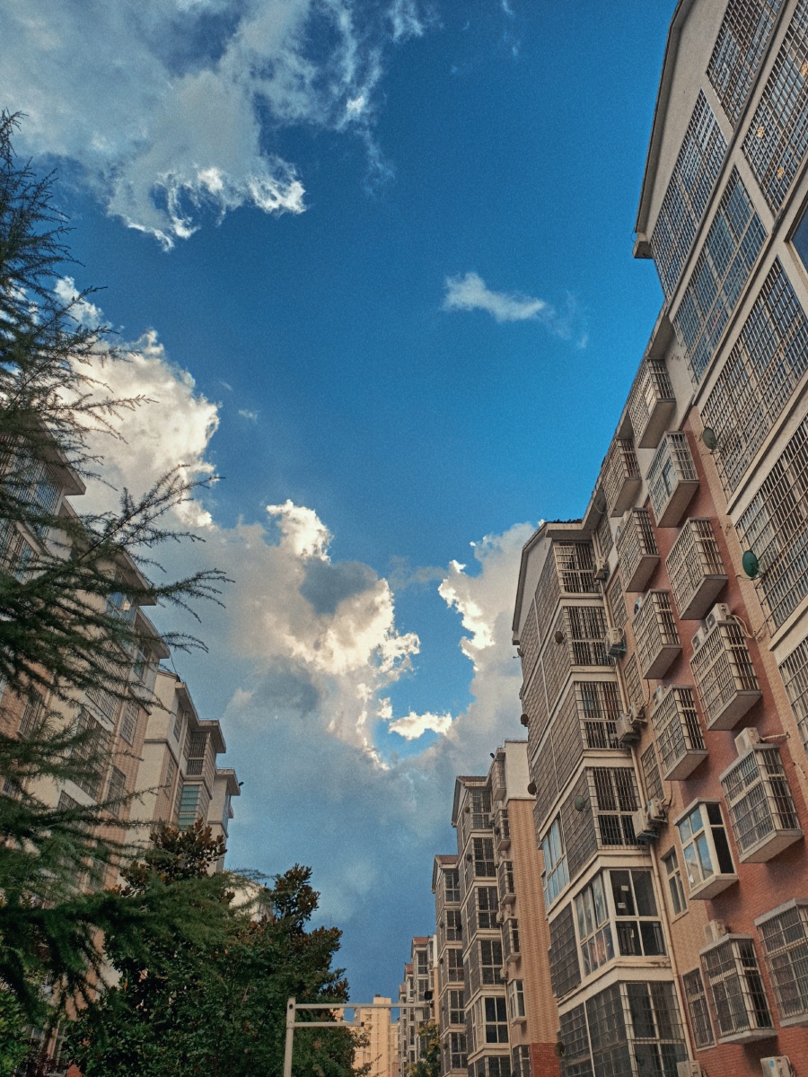 天空是蔚蓝色窗外有千纸鹤