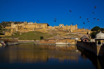 IMG_2694-1.jpg