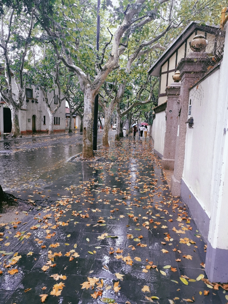 雨中的上海武康路