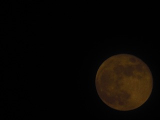 1331615