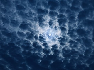 90EA4802-B7FB-4D65-9978-B44F27495A55/L0/001