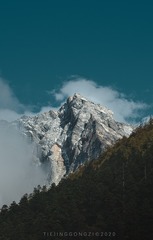 2258909