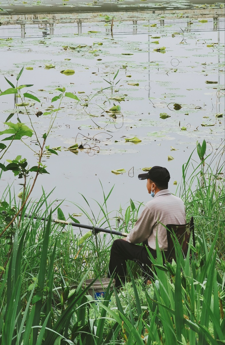 清晨钓鱼人