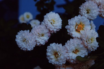 AB5967B1-2D16-43C1-B9AF-D3DC743A0E6F/L0/001